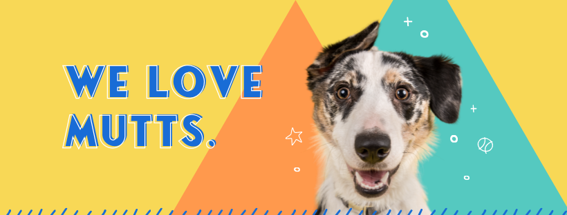 Mutts online dog store