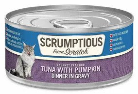 Scrumptious Tuna and Pumpkin Dinner in Gravy