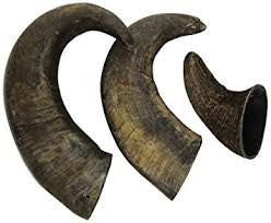 QT Dog Buffalo Horn Chews
